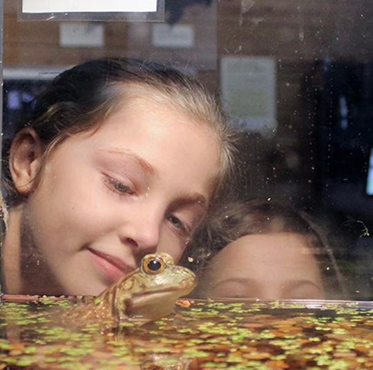 Two young girls watch a frog swim.