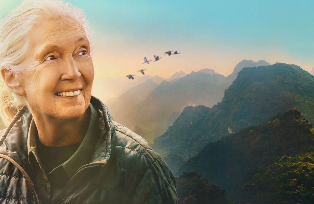 Jane Goodall
