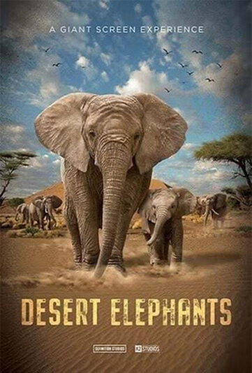 Desert Elephants movie poster